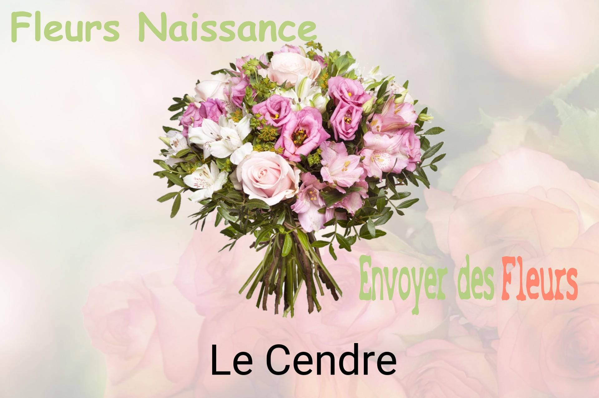 Bouquet de fleurs de naissance livré à Le Cendre