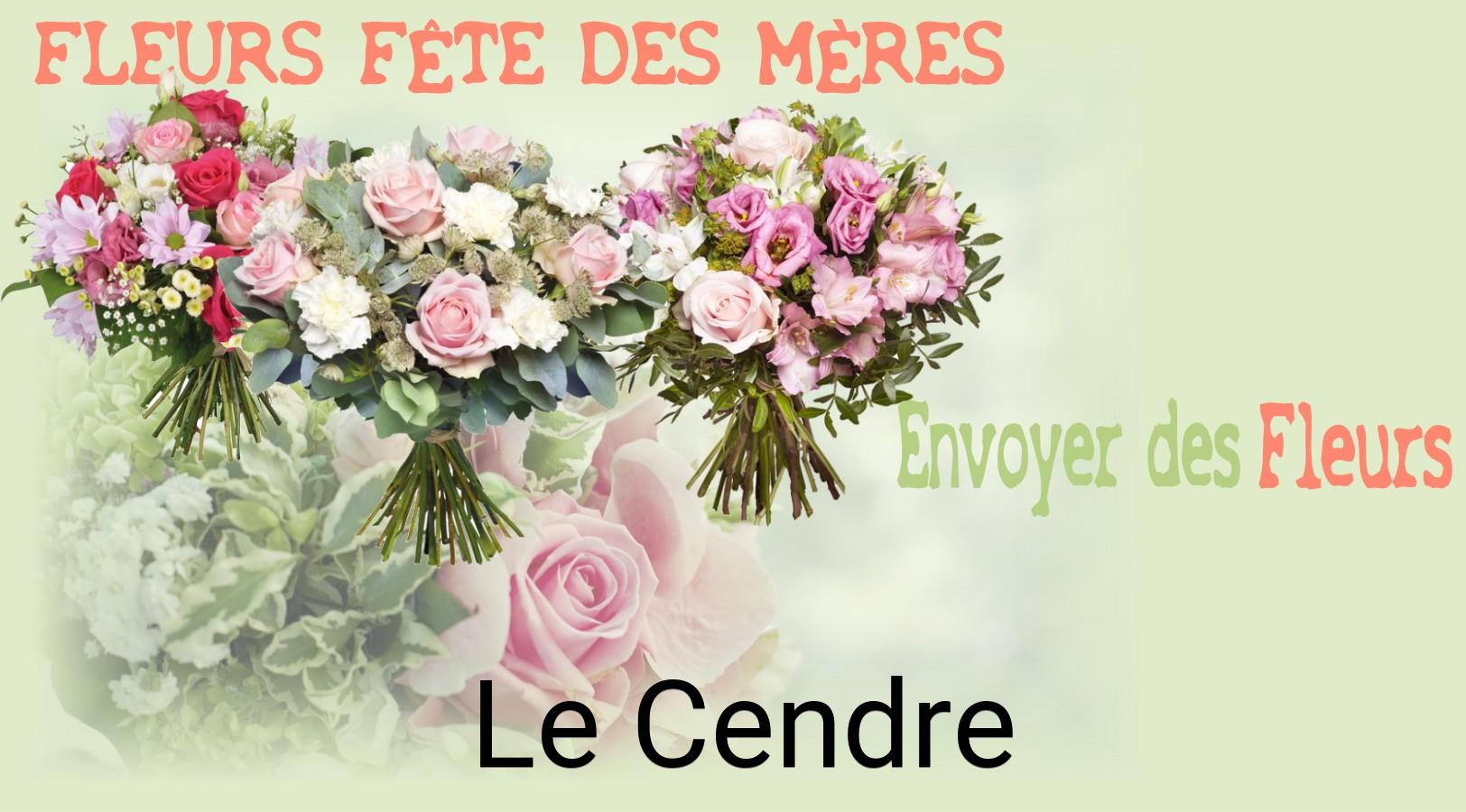 Bouquet de Fête des Mères livré à Le Cendre